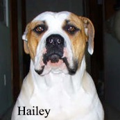 Hailey1