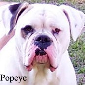 Popeye1